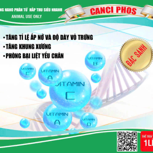 Long Đờm Bạc Hà